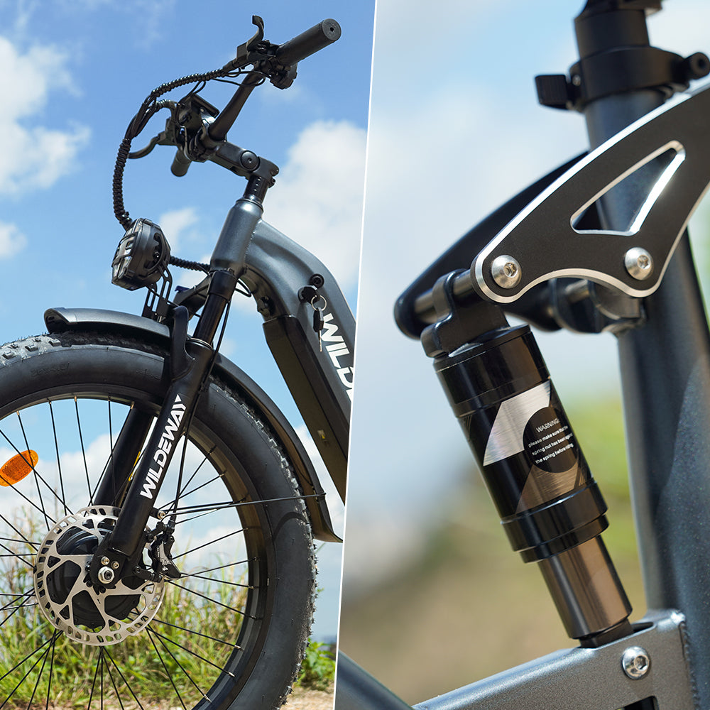 Wander All-Terrain Fat Ebike