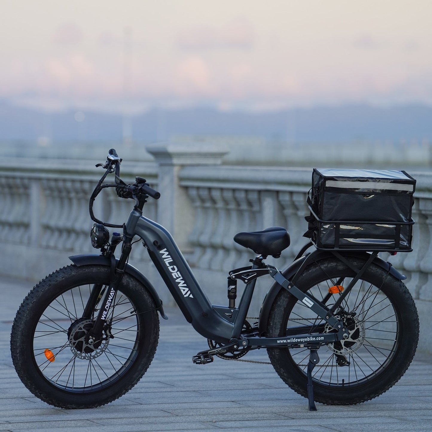 Wander All-Terrain Fat Ebike