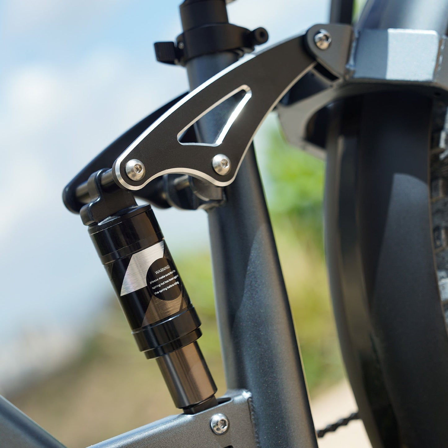 Wander All-Terrain Fat Ebike