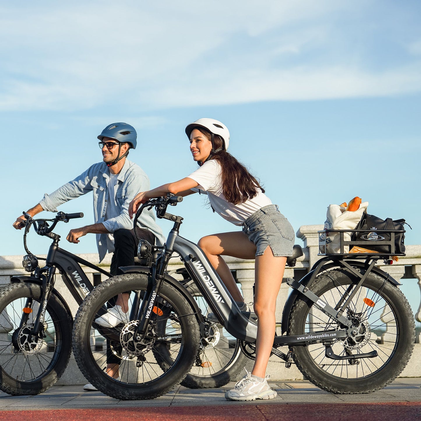 Wander All-Terrain Fat Ebike