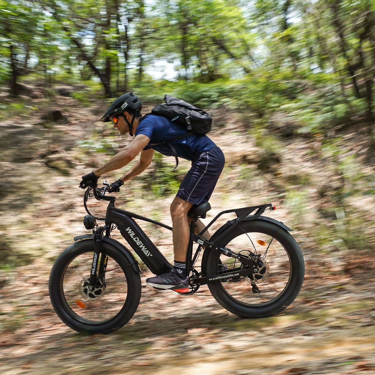 Soared All-Terrain Fat Ebike