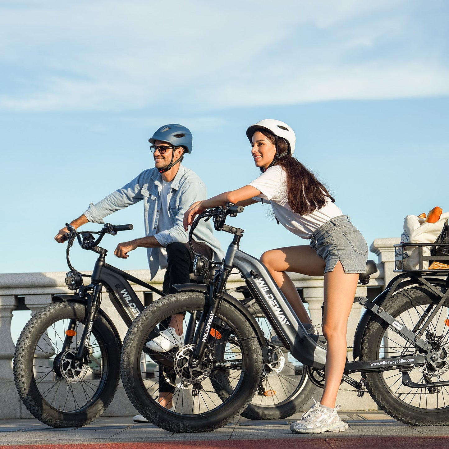 Soared All-Terrain Fat Ebike