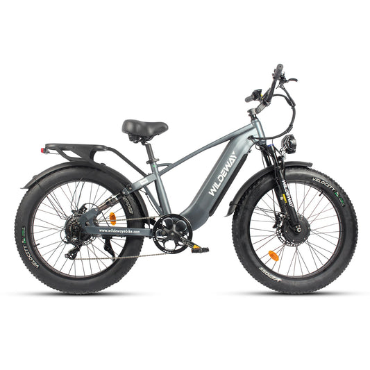 Soared All-Terrain Fat Ebike