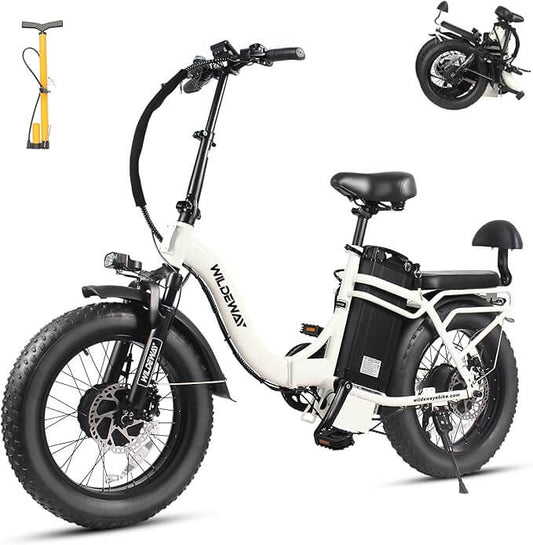 Wildeway SummitX Ebike